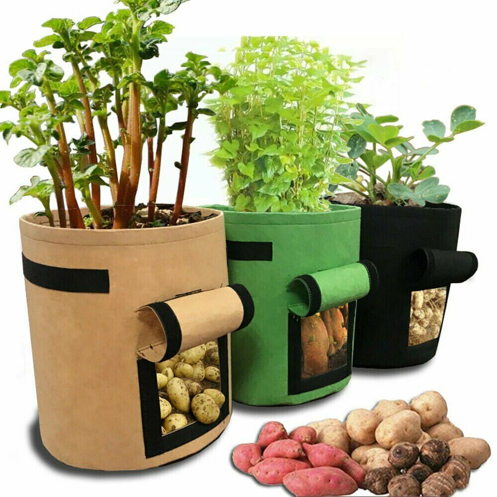 Breathable Nonwoven Growing Gags Fabric Planting Pots with Handles Planter Bag 7 Gallon Potato Planter Bag with Access Flap Garden Bags for Vegetable 3 Pack Black LEHOUR Potato Grow Bags 